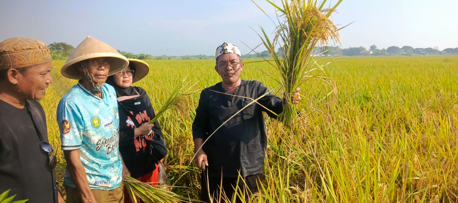 Simbolis Pemetikan Pertama oleh Pakuwu H. Tarman Berlokasi di sawah Blok Cibuaya